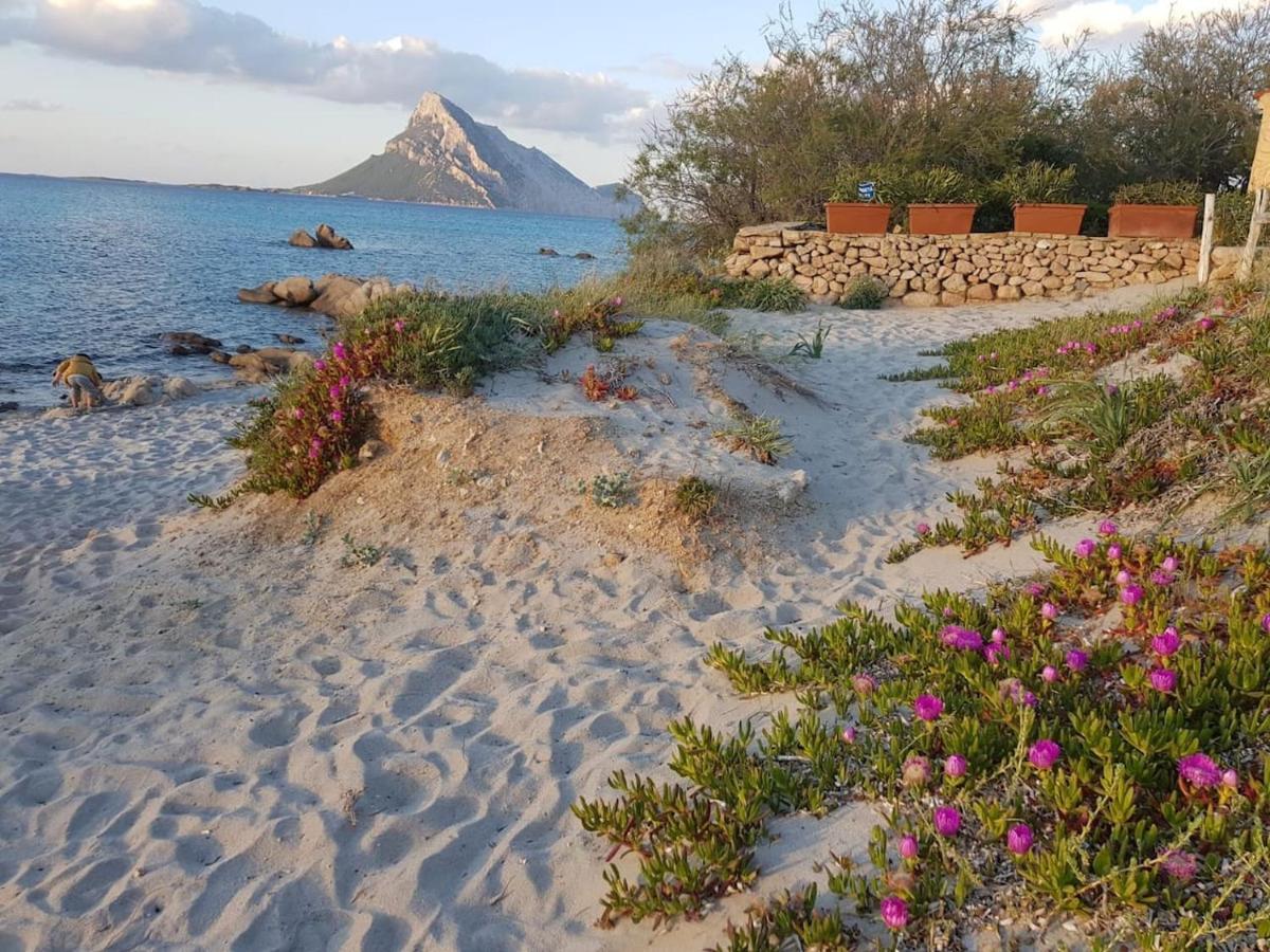 Mirto Villa Porto Taverna Bagian luar foto